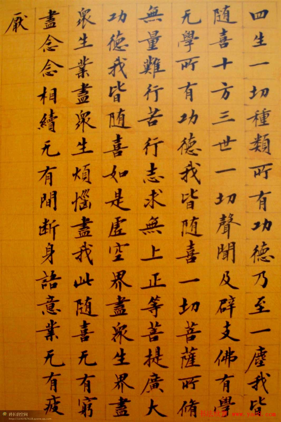 刘小晴小楷欣赏《华严经》