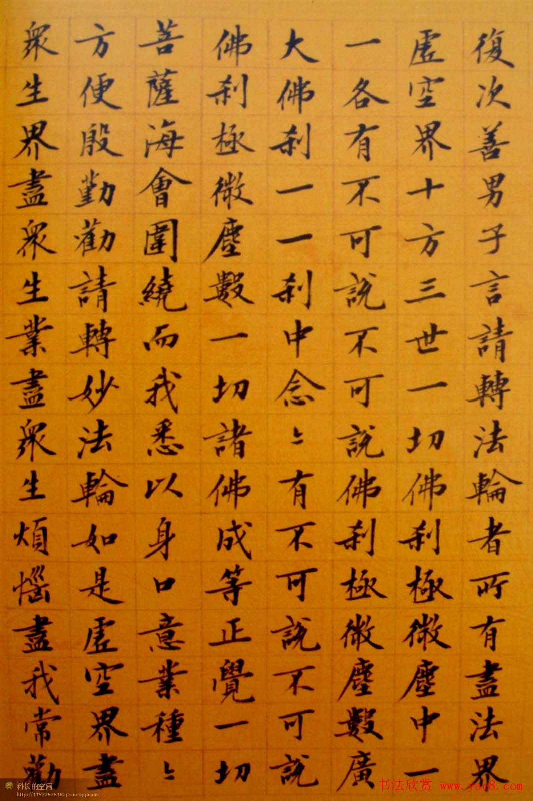 刘小晴小楷欣赏《华严经》