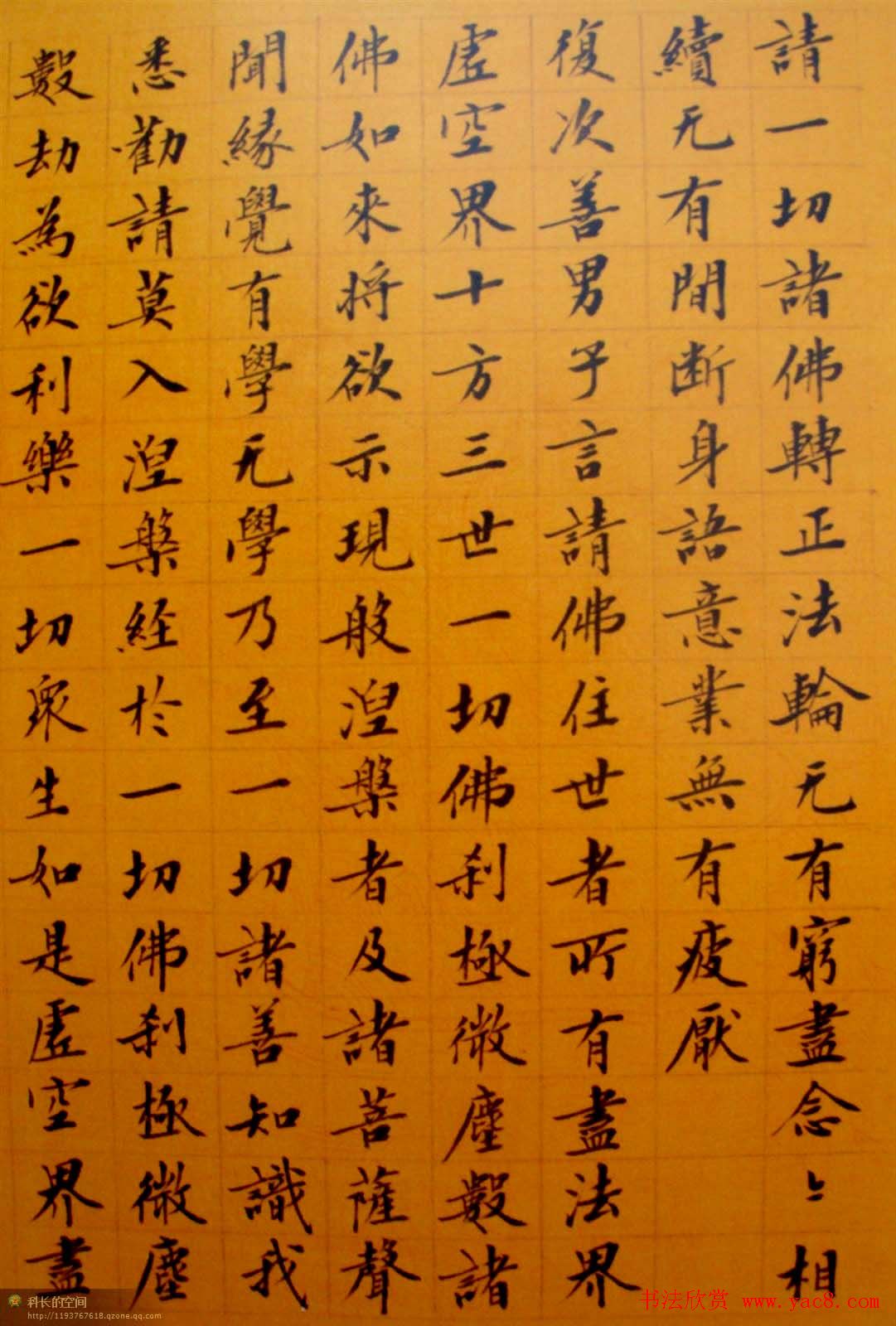 刘小晴小楷欣赏《华严经》