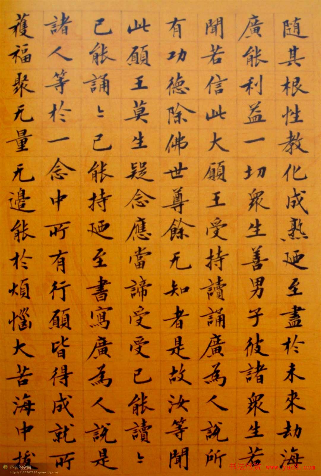 刘小晴小楷欣赏《华严经》