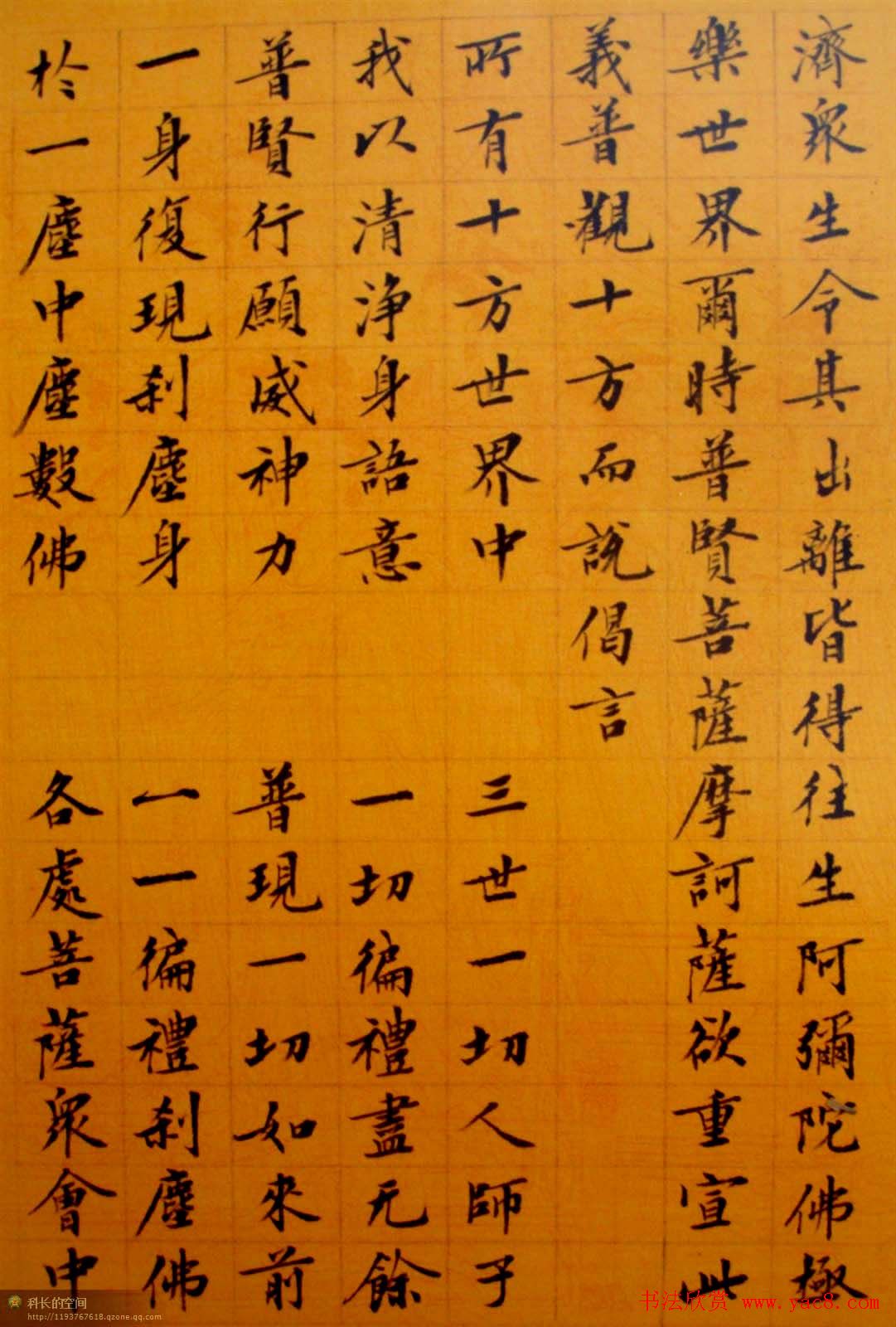 刘小晴小楷欣赏《华严经》