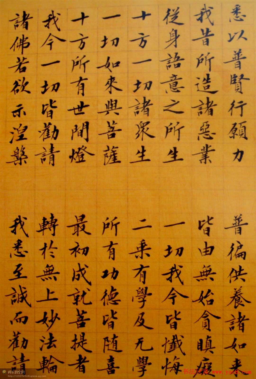 刘小晴小楷欣赏《华严经》