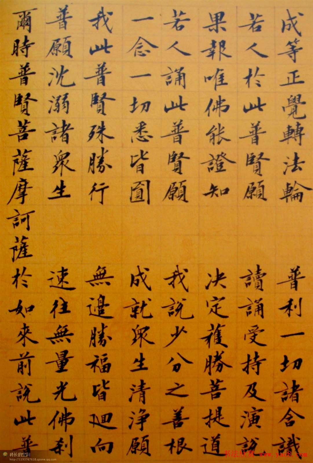 刘小晴小楷欣赏《华严经》