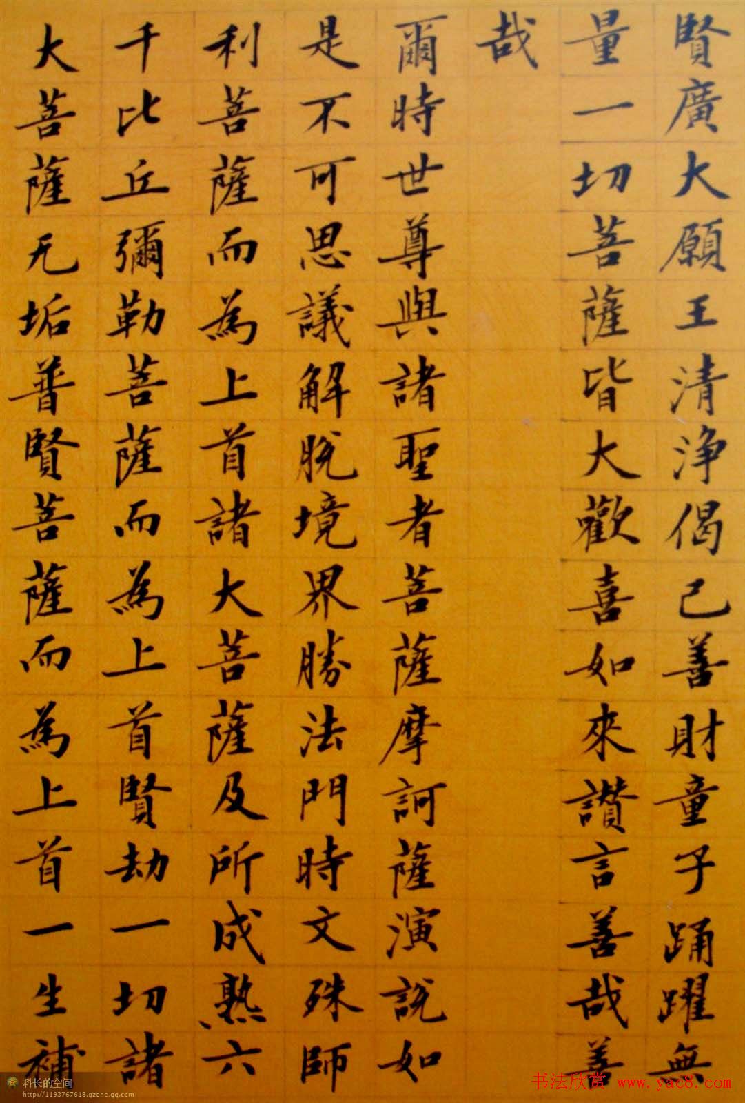 刘小晴小楷欣赏《华严经》