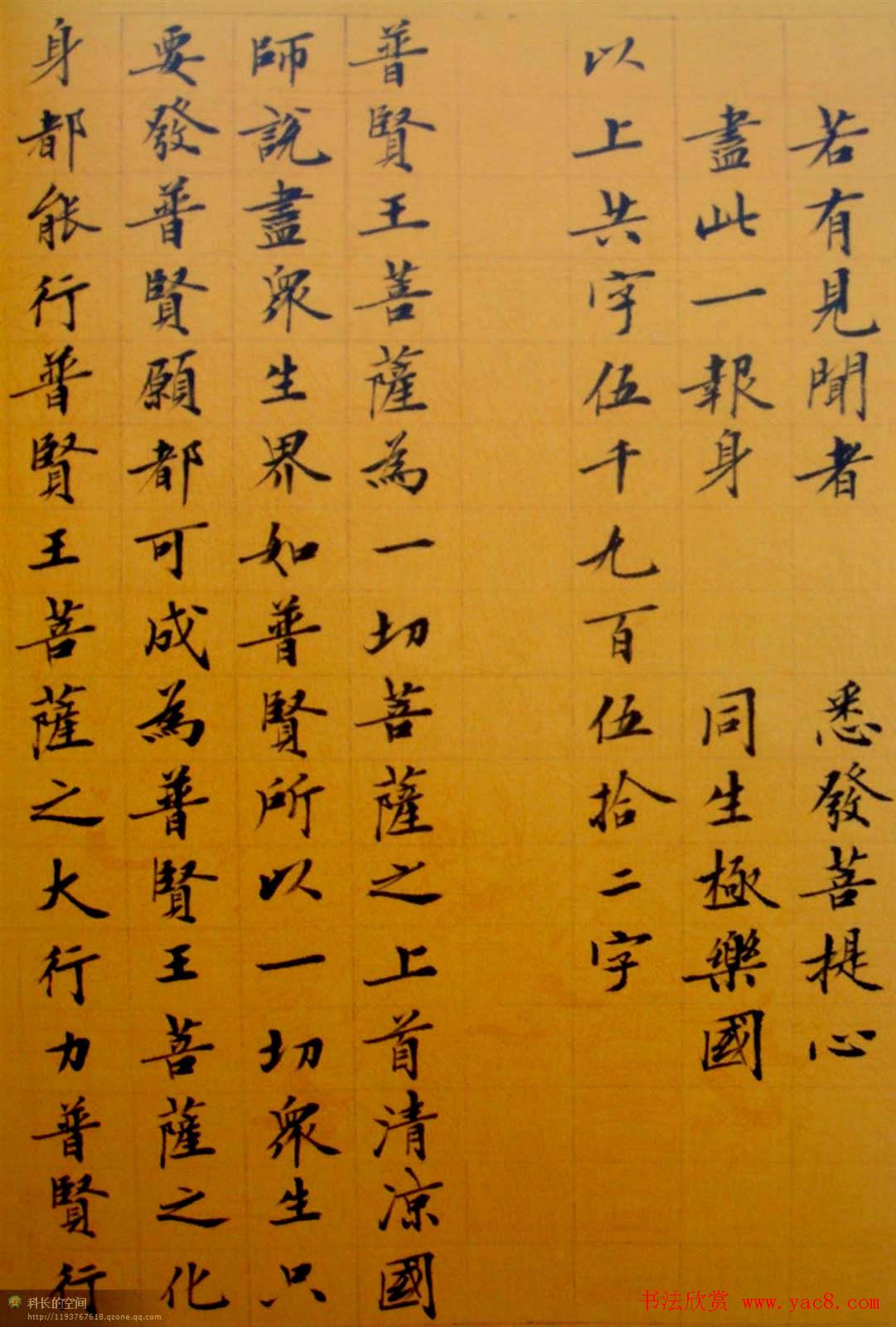 刘小晴小楷欣赏《华严经》