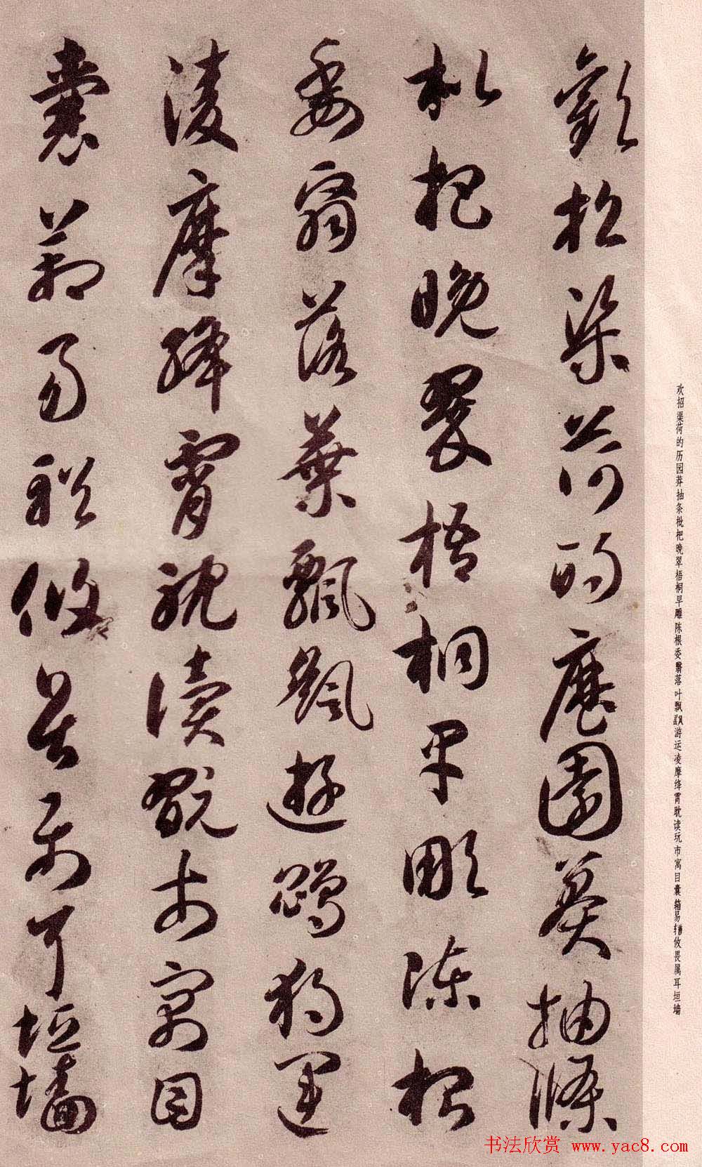 智永书法字帖《草书千字文》