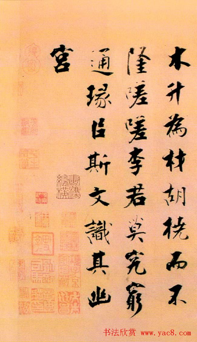 张即之楷书赏析《李衎墓志铭》