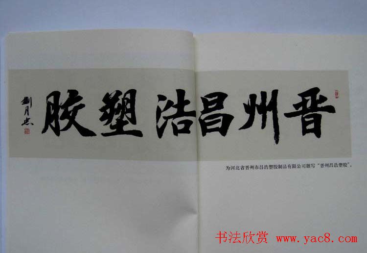 书法作品图书《刘月忠书法》