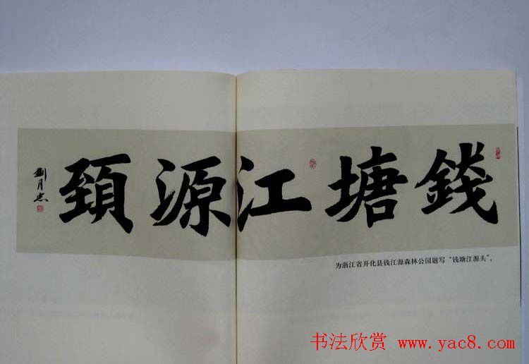 书法作品图书《刘月忠书法》