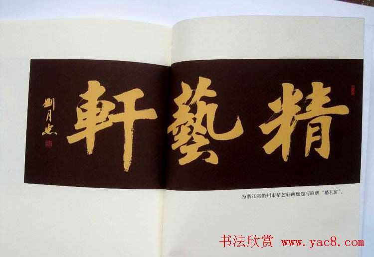 书法作品图书《刘月忠书法》