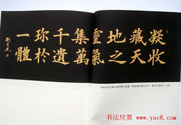 书法作品图书《刘月忠书法》