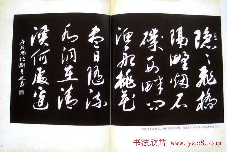 书法图书欣赏《刘月忠书法艺术》