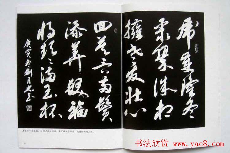 书法图书欣赏《刘月忠书法艺术》
