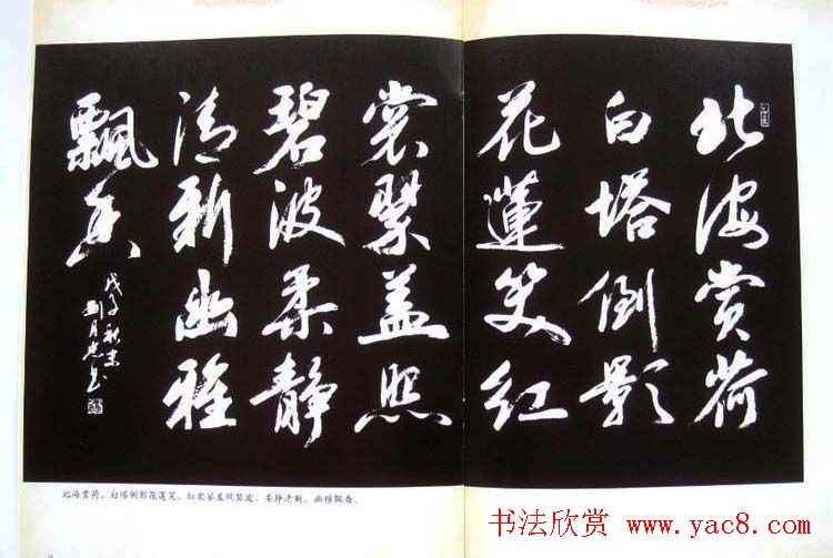 书法图书欣赏《刘月忠书法艺术》