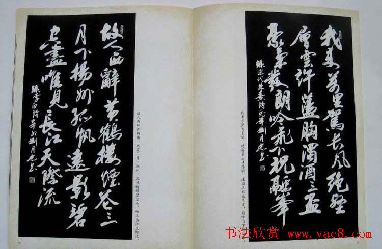 书法图书欣赏《刘月忠书法艺术》