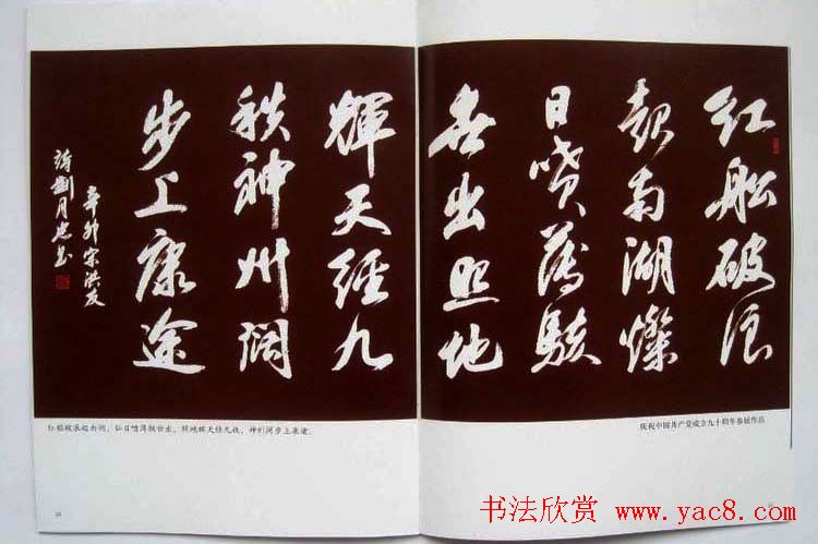 书法图书欣赏《刘月忠书法艺术》