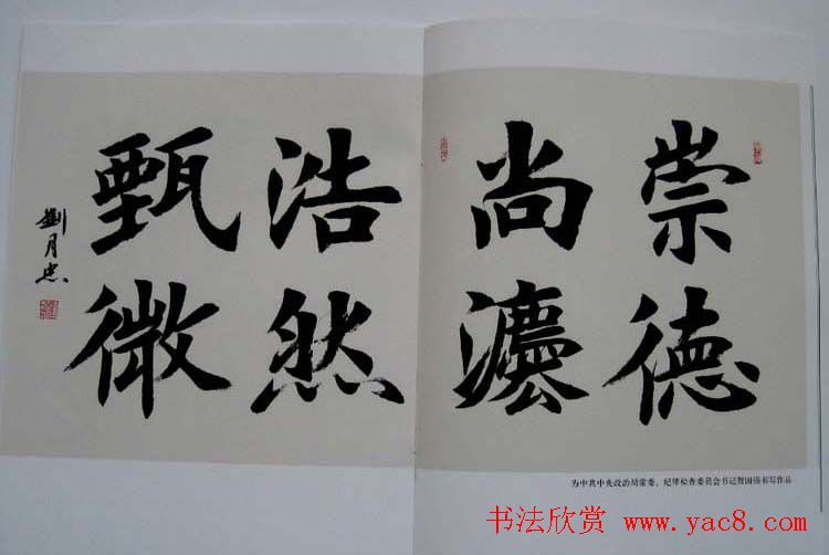 书法图书欣赏《刘月忠书法艺术》