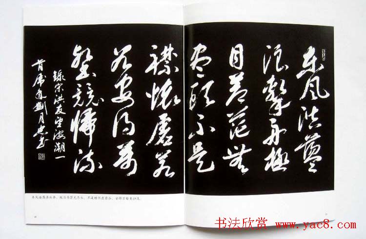 书法图书欣赏《刘月忠书法艺术》