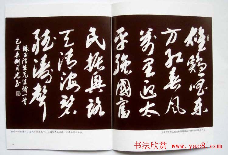 书法图书欣赏《刘月忠书法艺术》