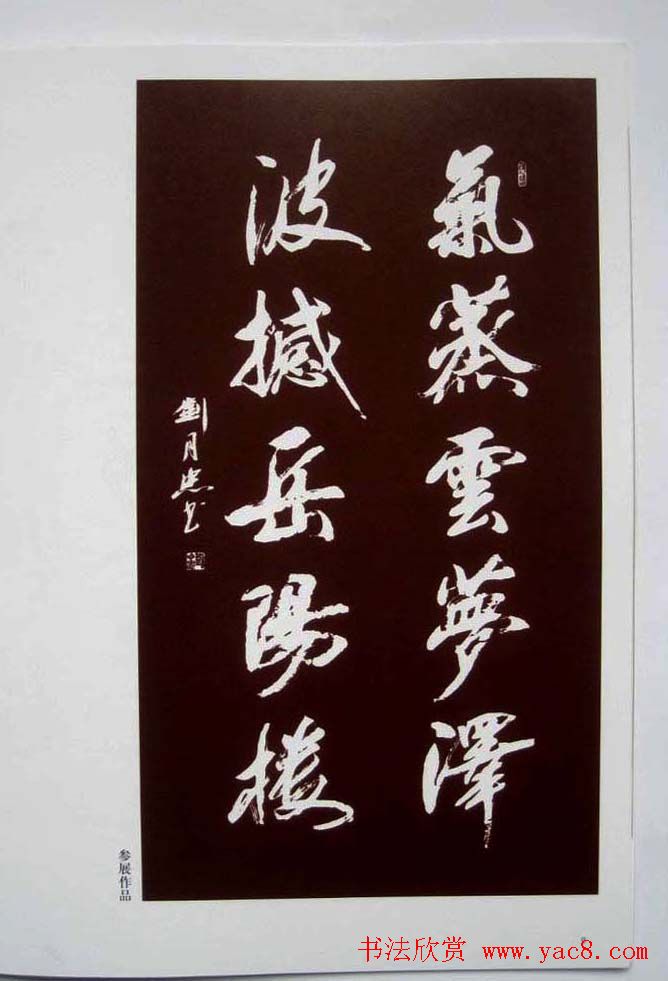 书法图书欣赏《刘月忠书法艺术》