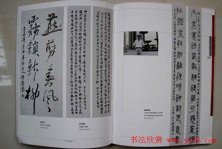 江苏陈广书法作品集