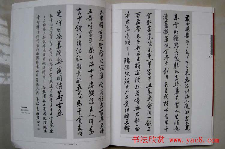 江苏陈广书法作品集