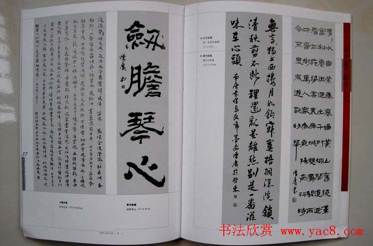 江苏陈广书法作品集