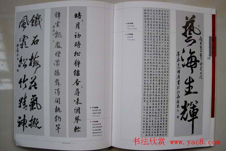 江苏陈广书法作品集