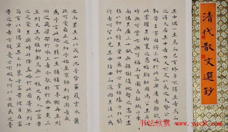 典雅书法册页小品欣赏