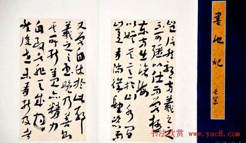 典雅书法册页小品欣赏