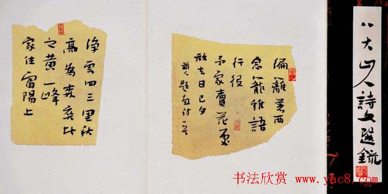 典雅书法册页小品欣赏