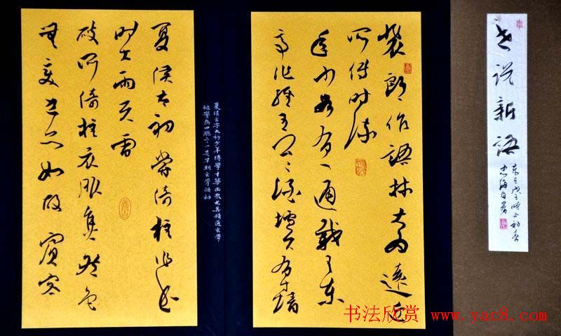 典雅书法册页小品欣赏