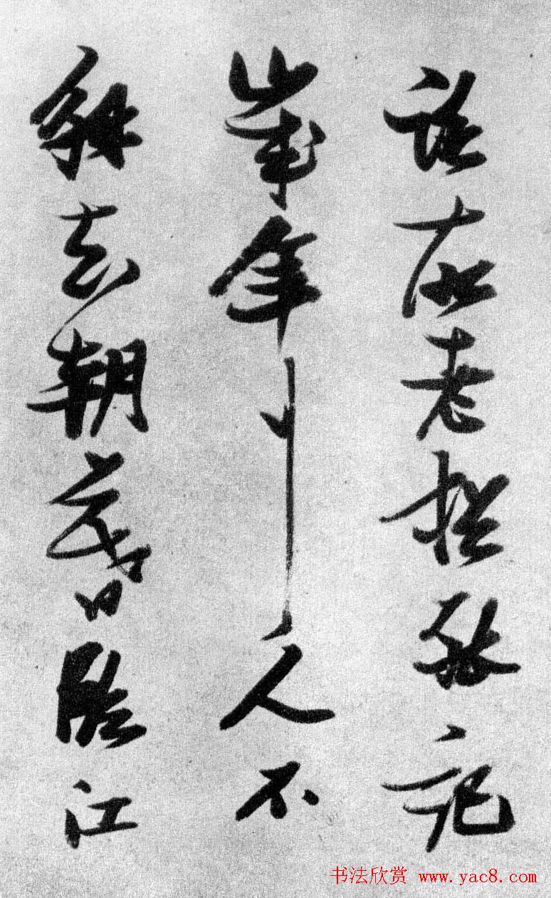 晚明张瑞图行书欣赏《古松行》