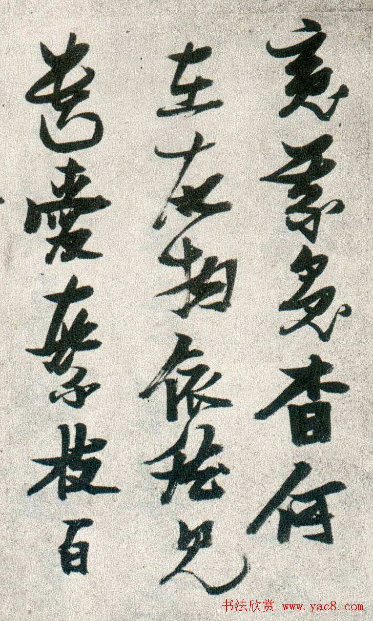 晚明张瑞图行书欣赏《古松行》