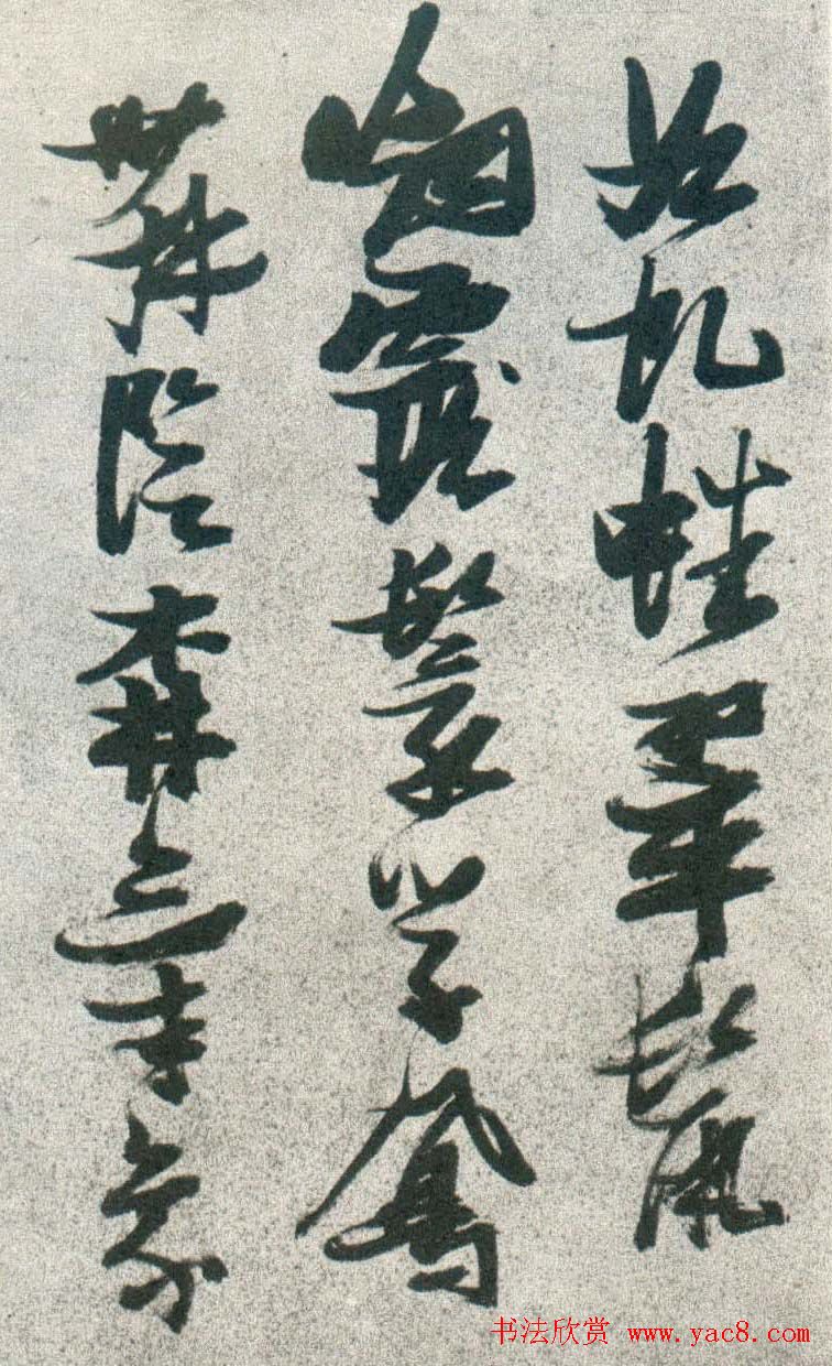 晚明张瑞图行书欣赏《古松行》