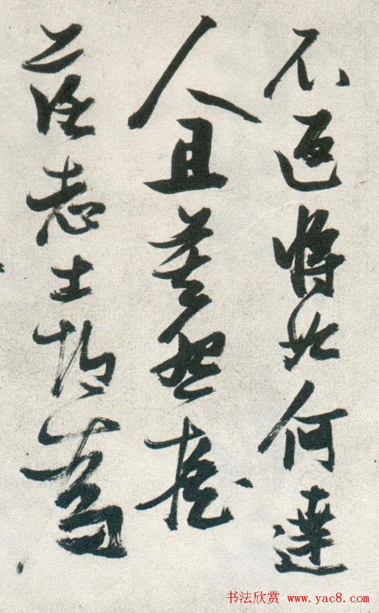 晚明张瑞图行书欣赏《古松行》