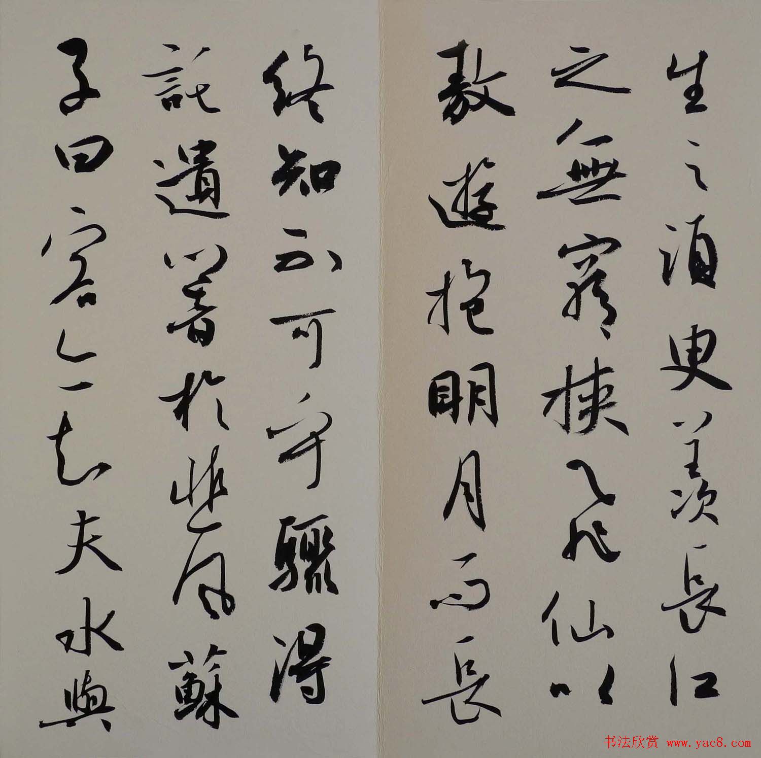 方放书法作品欣赏《苏轼赤壁赋》