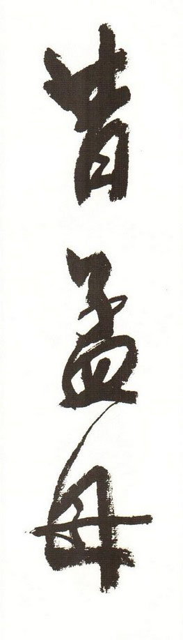 字帖下载:周慧珺行书三字经