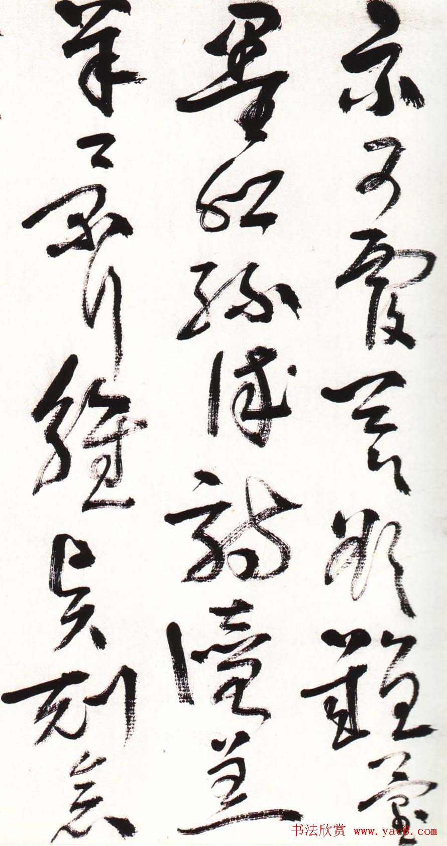 字帖欣赏:黄宾虹草书千字文