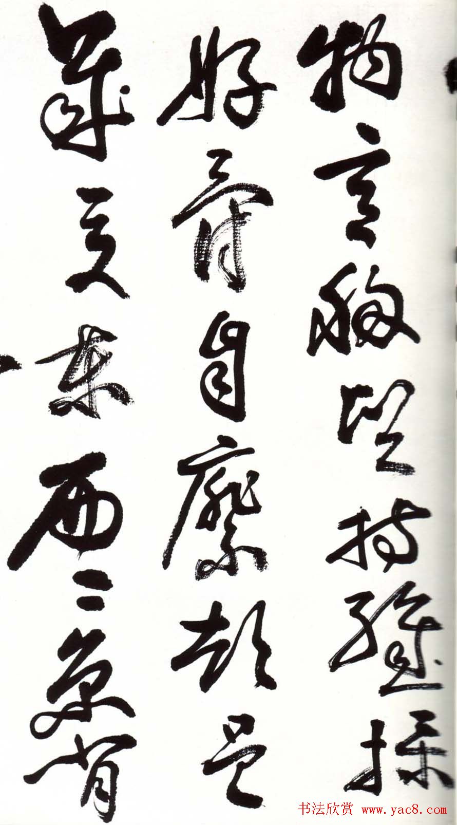 字帖欣赏:黄宾虹草书千字文