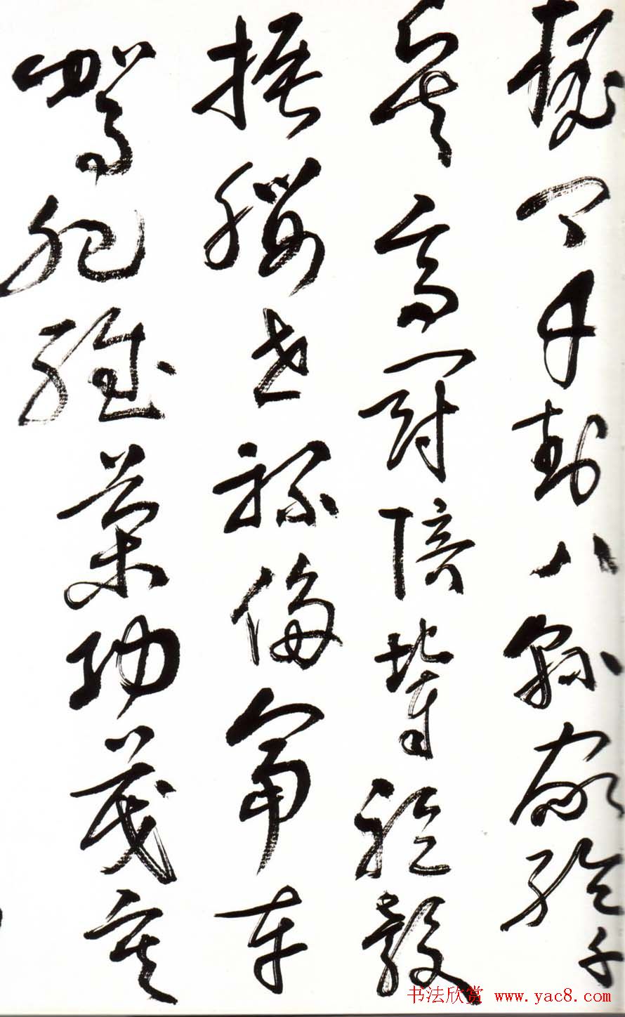 字帖欣赏:黄宾虹草书千字文