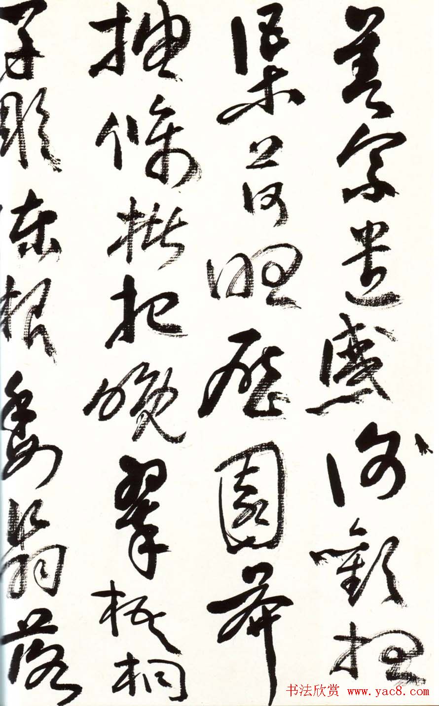 字帖欣赏:黄宾虹草书千字文