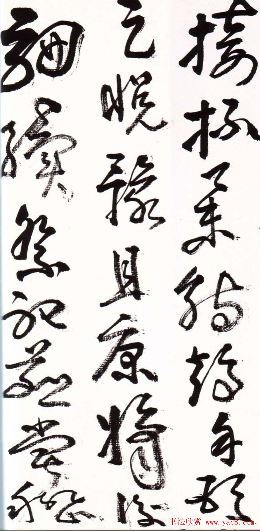 字帖欣赏:黄宾虹草书千字文