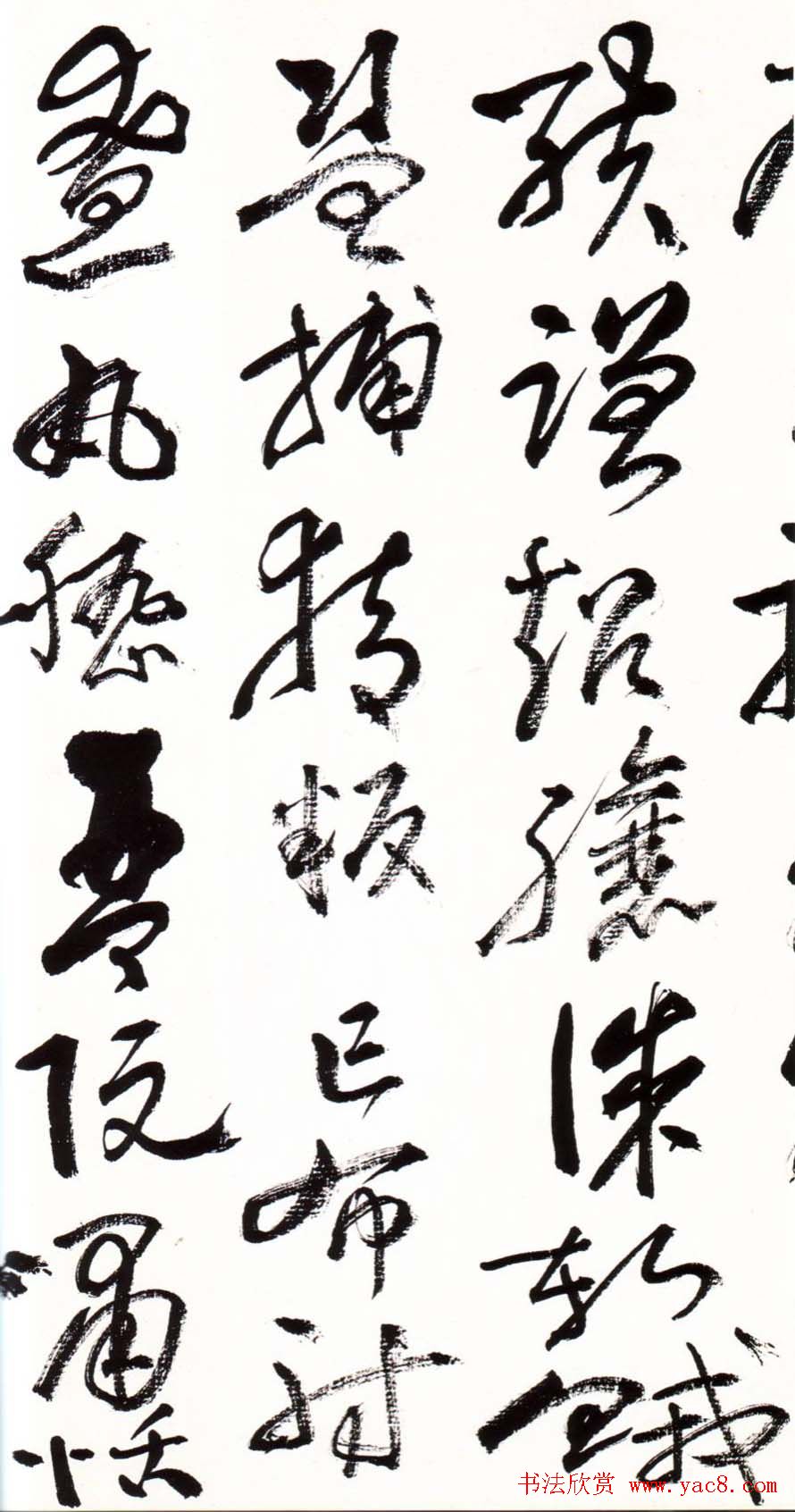 字帖欣赏:黄宾虹草书千字文