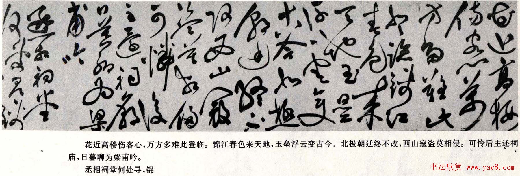 祝允明草书欣赏杜诗卷上海博物馆藏