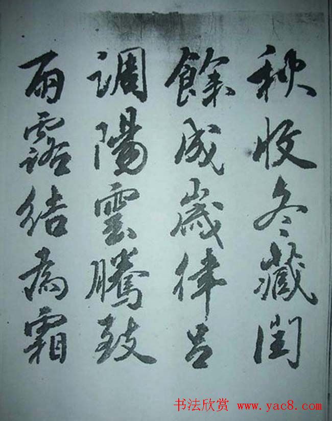 天津著名書法家哈珮行書千字文