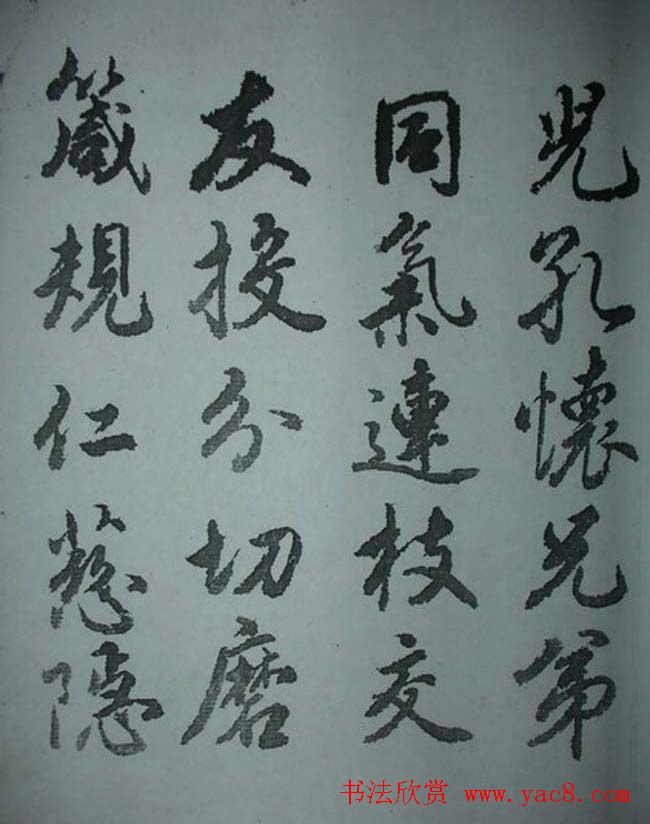 天津著名書法家哈珮行書千字文