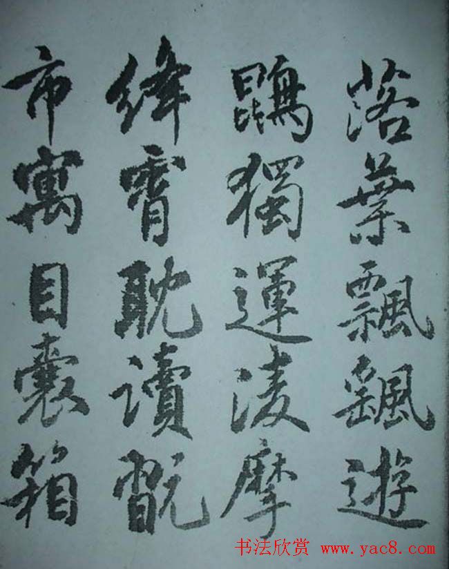 天津著名書法家哈珮行書千字文