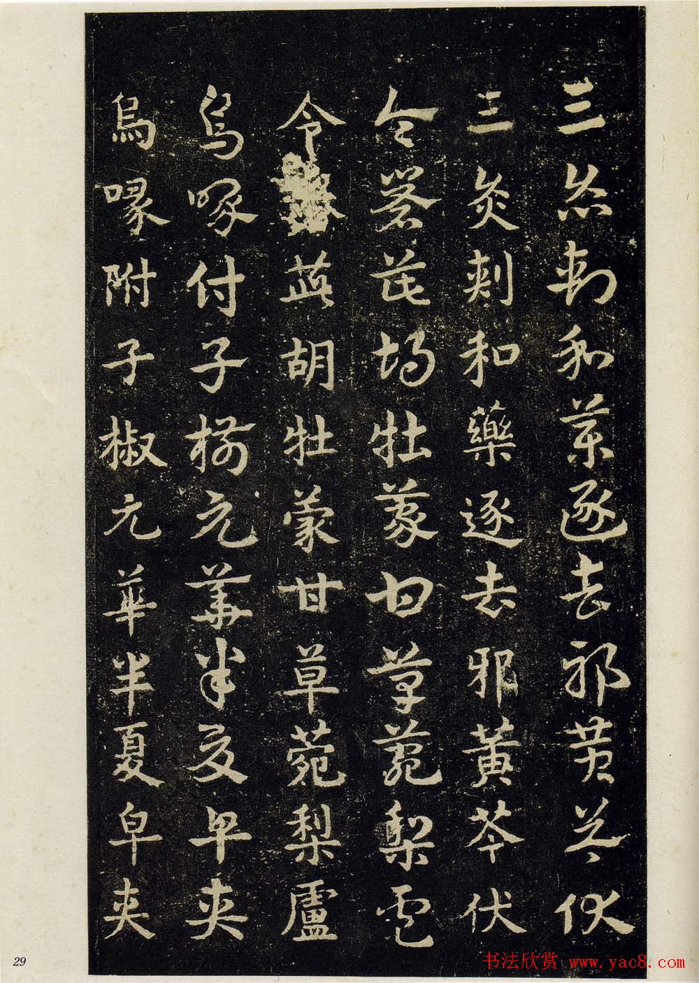 明拓松江本皇象书法急就章彩版