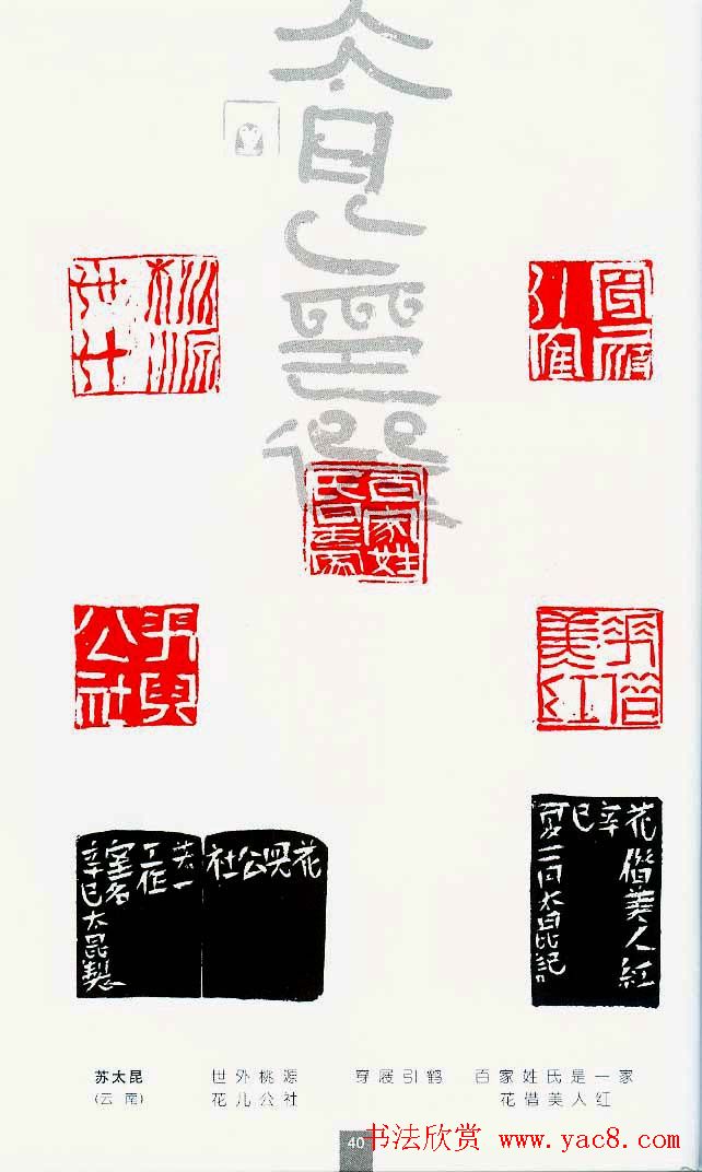 中国当代著名篆刻家作品邀请展作品集